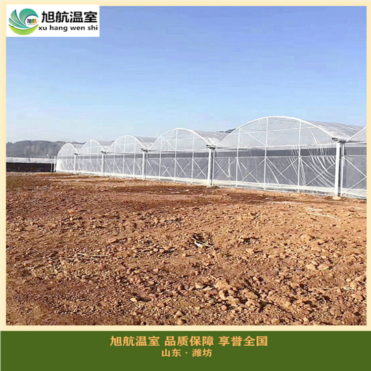 weixintupian_20190223162121_副本