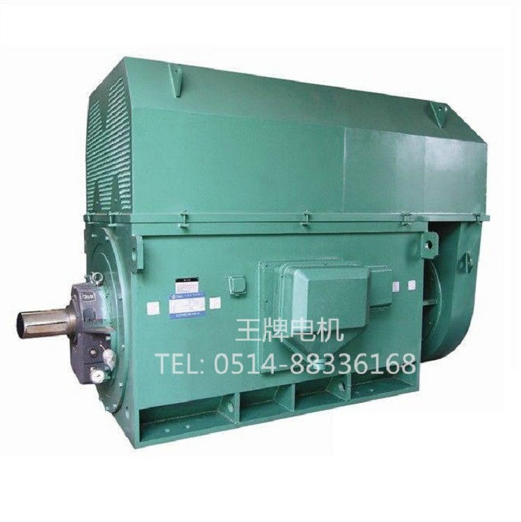 Y5001-2 710KW 10KV高压电机厂家销售