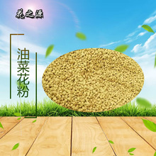 �����Ͳ˻��� �ຣ�Ͳ˻��� �Ͳ˷仨�����l �仨��