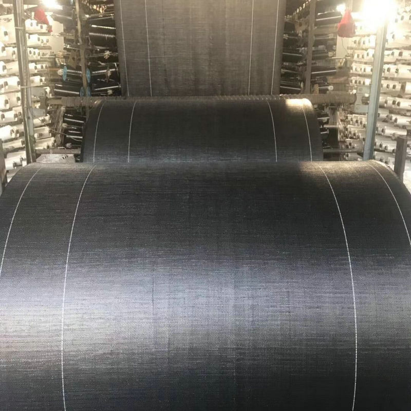 QQ图片20190905091807