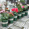 Plastic round resin, flowerpot for growing plants, increased thickness