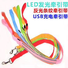 新款USB充電LED條紋反光寵物發光牽引繩LED牽引 閃光狗鏈 狗拉帶