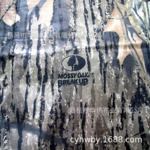 �Բ����� ȫ�ޜ����Բ�ӡ���� ��C �Բ��L������