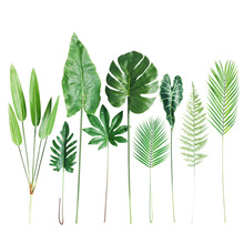 S桾WtzӰinsL׷~~ӻܾG~ ~ә