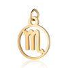 Golden zodiac signs stainless steel, pendant, accessory, wholesale