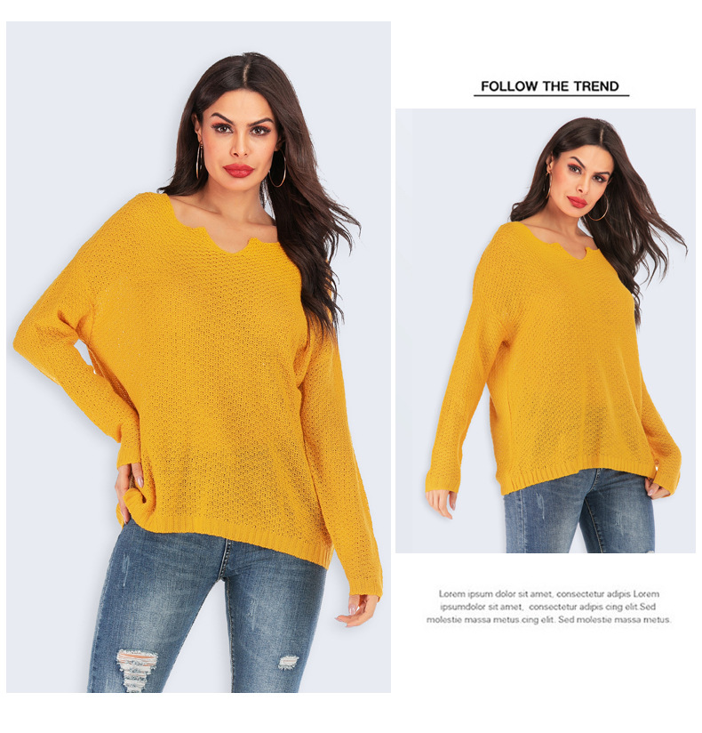 spring and summer new women s long-sleeved V-neck pullover  NSYH19613