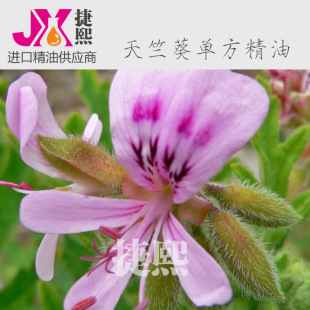 ���ÿ�/���~�͆η����� Geranium Oil 100%��ֲ�ﾫ��  ��޹��