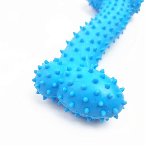 Manufacturer Direct Sales Promotion Gift Chew-resistant Solid Bone Dog Toy TPR Grinding Spiky Pet Toy