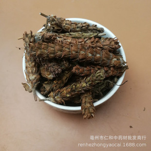 ��ș���Ŀ��� �Ƀ��o�s�Ŀ��� �����Ŀ���500���b