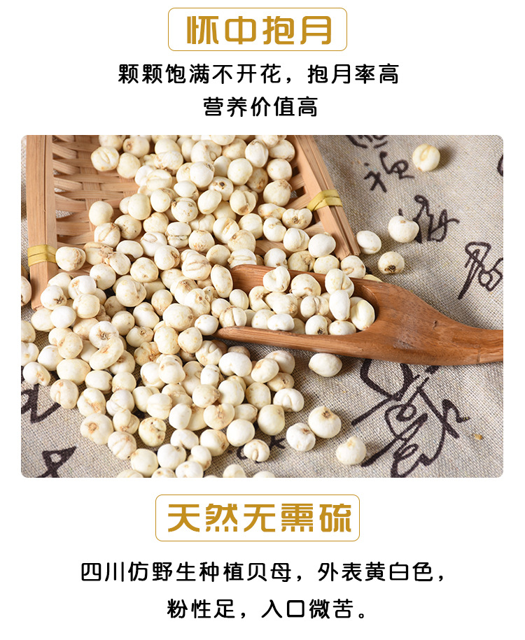 Chuan Bei Mu (Fritillaria cirrhosa) — Dried Sichuan Fritillary Bulb, Food Herb for Soups & Teas key features