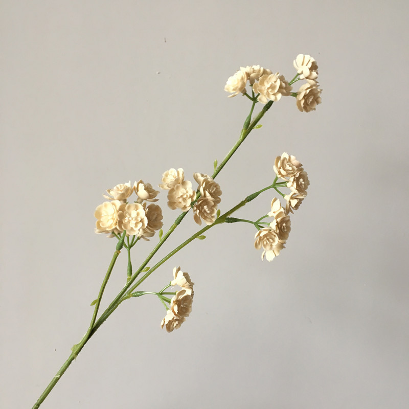 微信图片_201910101657054_副本