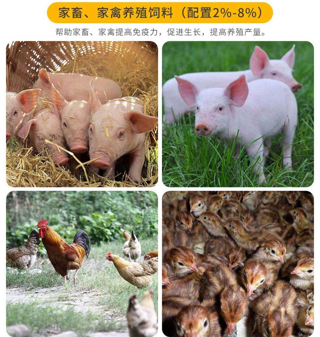 微信图片一样一样