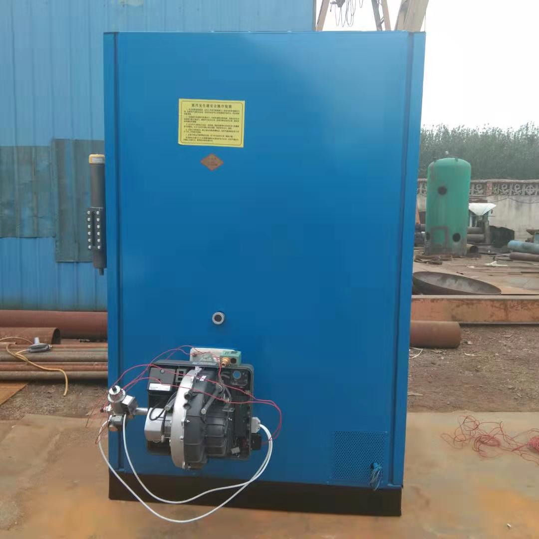 食品加工全自动蒸汽锅炉 燃气蒸汽锅炉 烘干蒸汽发生器