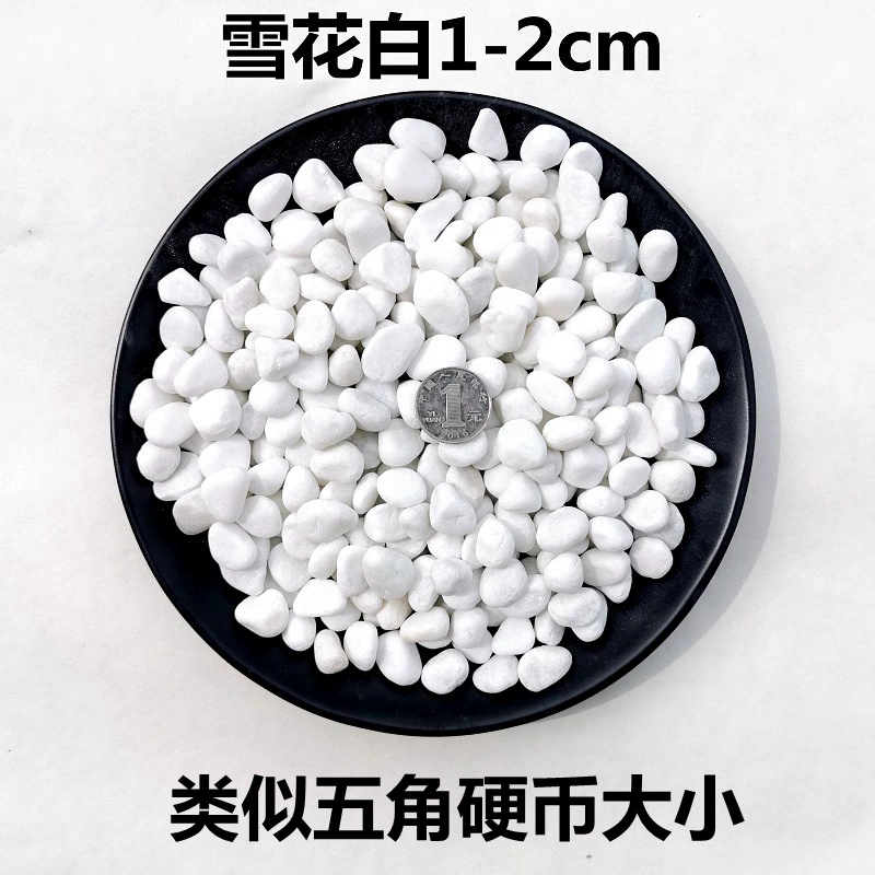 ✅Natural white stone pebbles white stone white marble colored stone gardening potted stone succulent paving courtyard construction