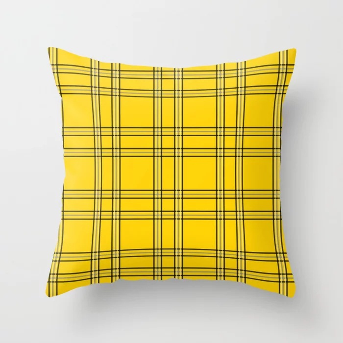 clueless-plaid1113178-pillows.