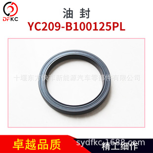 ��ȼ��l�әCYC209-B100125PL �ͷ�100*125
