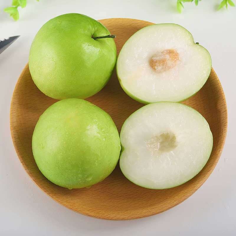 台湾牛奶脆蜜枣贵妃枣新鲜水果大青枣子冬枣包邮1斤试吃装12.9元