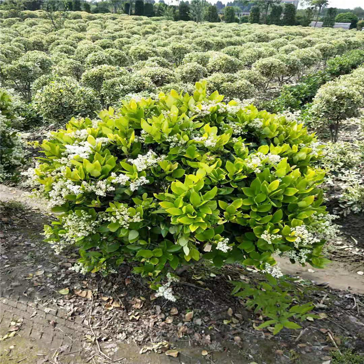 微信图片_20190924001113