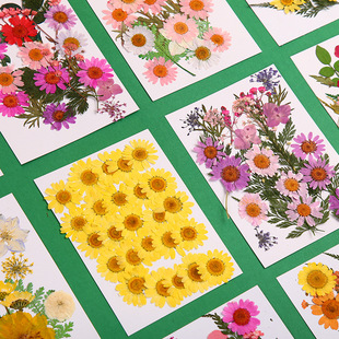 �ɻ��������ϰ��ֹ�diy�켈�gѺ�����������M���Ǹɻ�ֲ��˱�