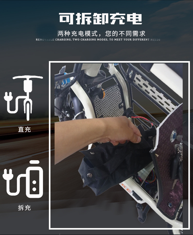 电动自行车,电动车 成人,电动车