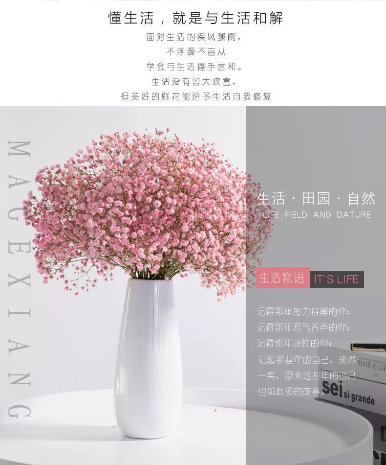 QQ图片20190626225318