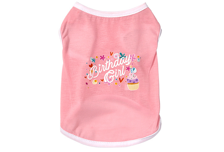 Birthday Celebration Outfit