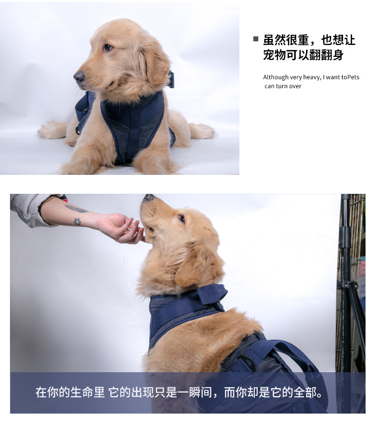 辅助带详情页_12