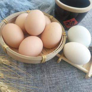 Яйца Rugao Scattered, Количество яиц, фермеры, ферма, морозилка, яйца с яйцом с яйцом с куриной травой
