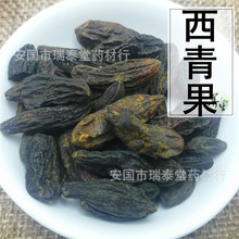 ���  ����� ����� ����� ����� �����ό��� ���ͼӹ�����