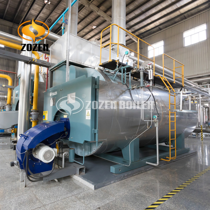 蒸汽鍋爐WNS (16)