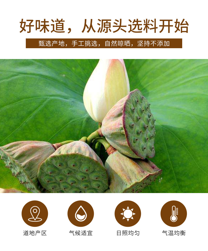 Lotus Seed (Nelumbo nucifera) — Dried Core-Removed Lotus Seeds, 400g Food Herb for Tea, Soup & Congee key features