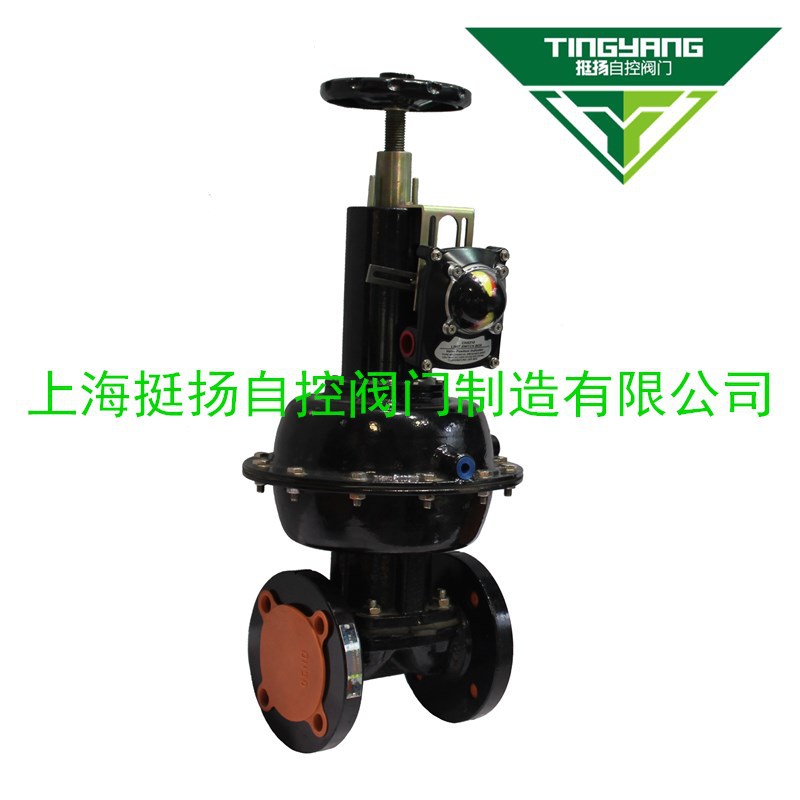 供应上海挺扬牌精小型气动活塞隔膜调节阀