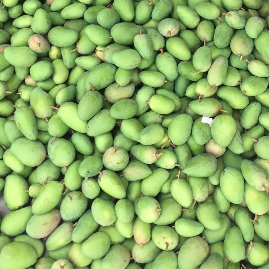 微信图片_20190607032011