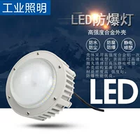 30W功率防爆灯【2026新款】Ex d IIC T6认证 | 厂家直供 | 支持定制