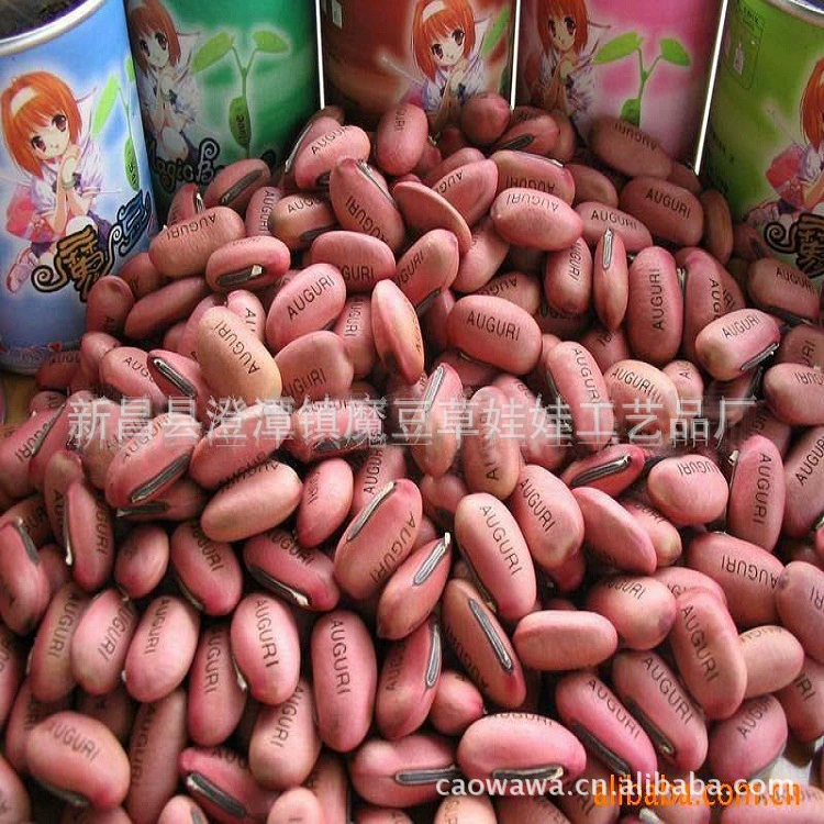 Посадка Длинные Персонажи Выращивание Любовь Дружба Благословение Гравировка Посадка Волшебные Бобы Красная Фасоль Белая Фасоль Благоприятные Бобы Горшечные Растения