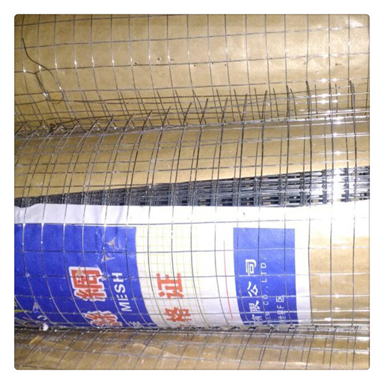 工厂现货生产不锈钢网 浸塑铁丝网 养殖电焊网  包塑铁丝网