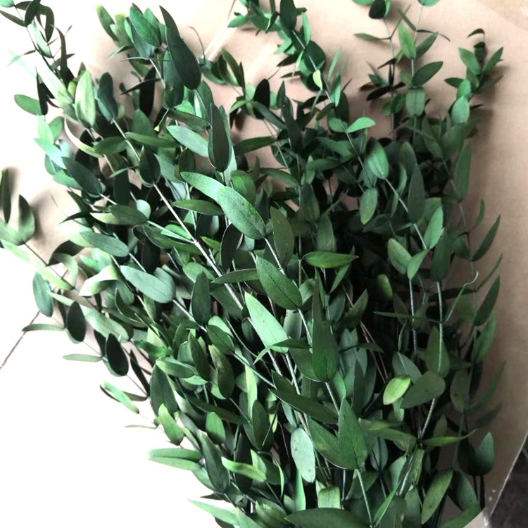 微信图片_20191020212343