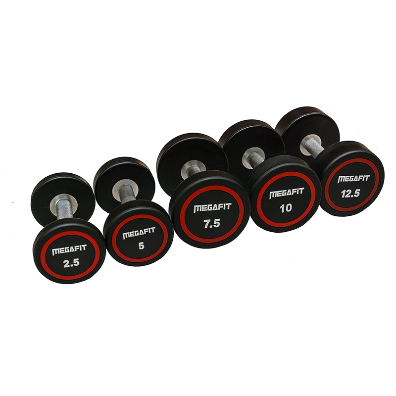 Dumbbells for commercial use for gym