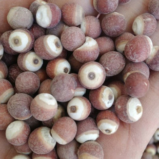 �� �͌� �u�^�� �S�� һ�����lȥƤ��