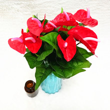 tƾGֲGɫֲtƻ҃ȾGɫֲٻ辰kҾӔ[