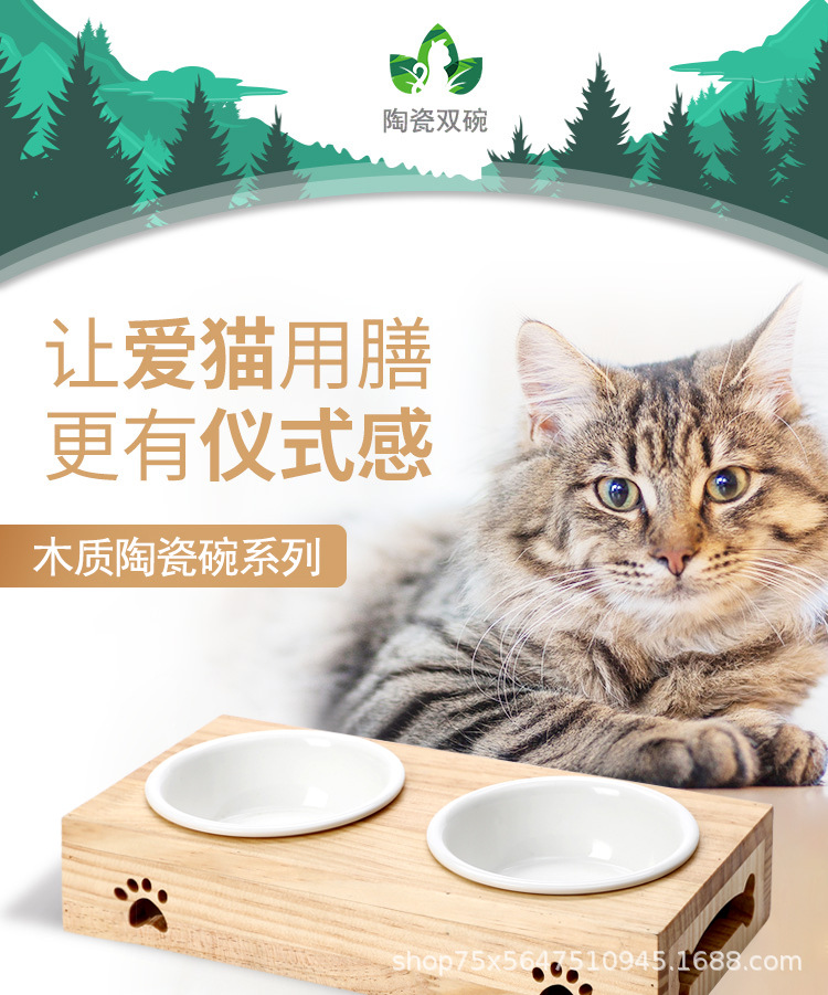 猫食_01.jpg