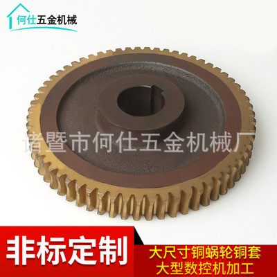 厂家生产 铜蜗轮 加工定做蜗轮蜗杆铝青铜锡青铜批量铸造|ru