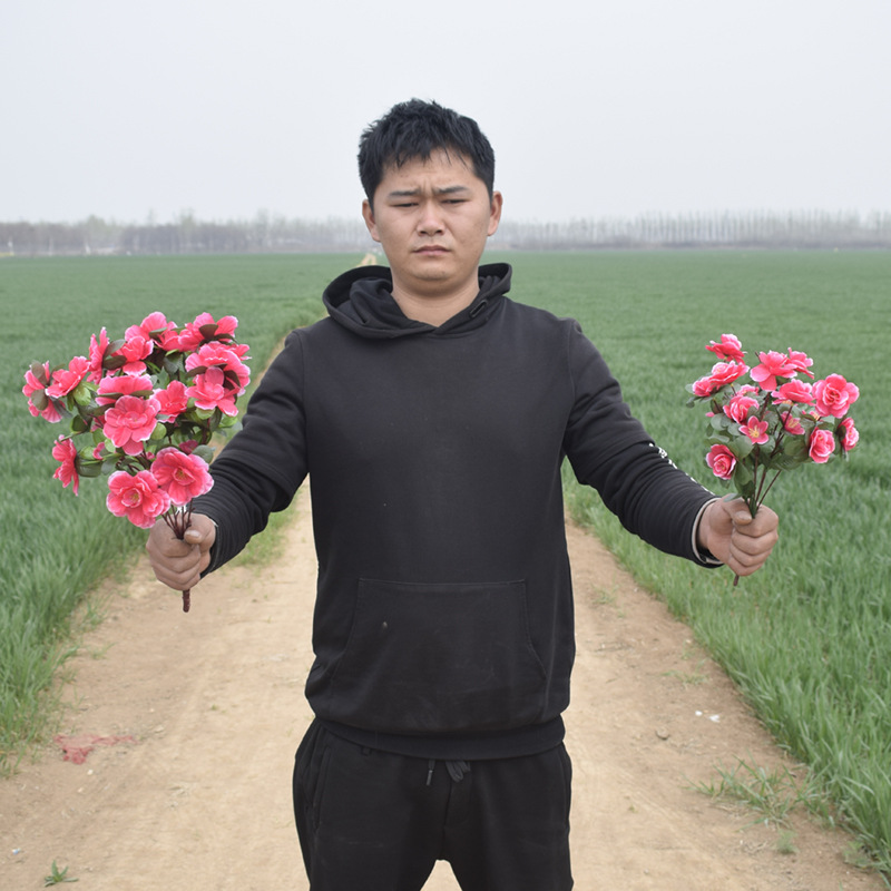 仿真杜鹃花假花塑料花学校幼儿园运动会手拿舞台舞蹈合唱表演花束