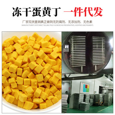 凍幹蛋黃 -寵物生骨肉狗貓零食肉幹500克蛋黃丁壹斤批發壹件代發