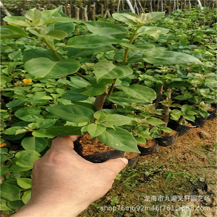 微信圖片_201903282142449