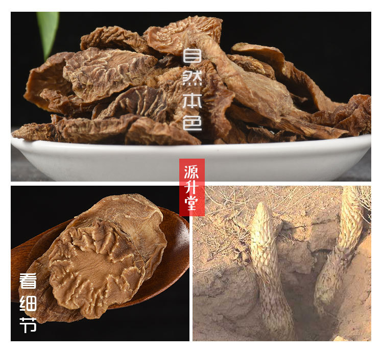 Rou Cong Rong Slices (Cistanche deserticola) — Alxa Soft Desert Ginseng Dried Slices key features