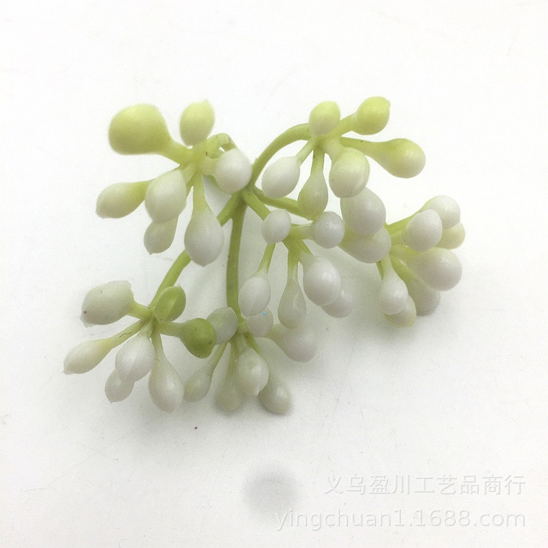 2019-07-20 083842.jpg