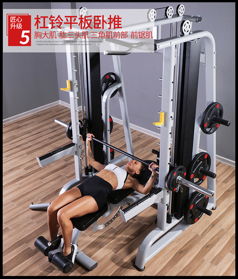 新款史密斯机790