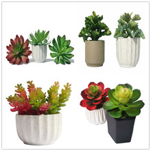 仿真多肉植物盆栽 3d植物背景墙组合相框装饰塑胶花热带批发