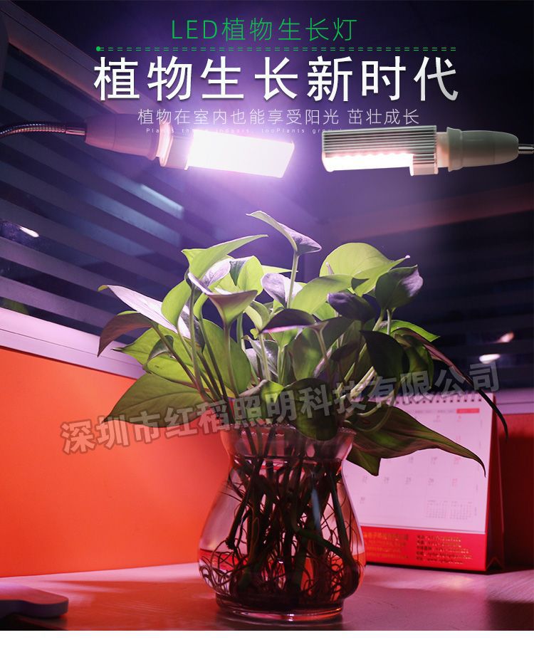 05085W植物灯详情页.jpg
